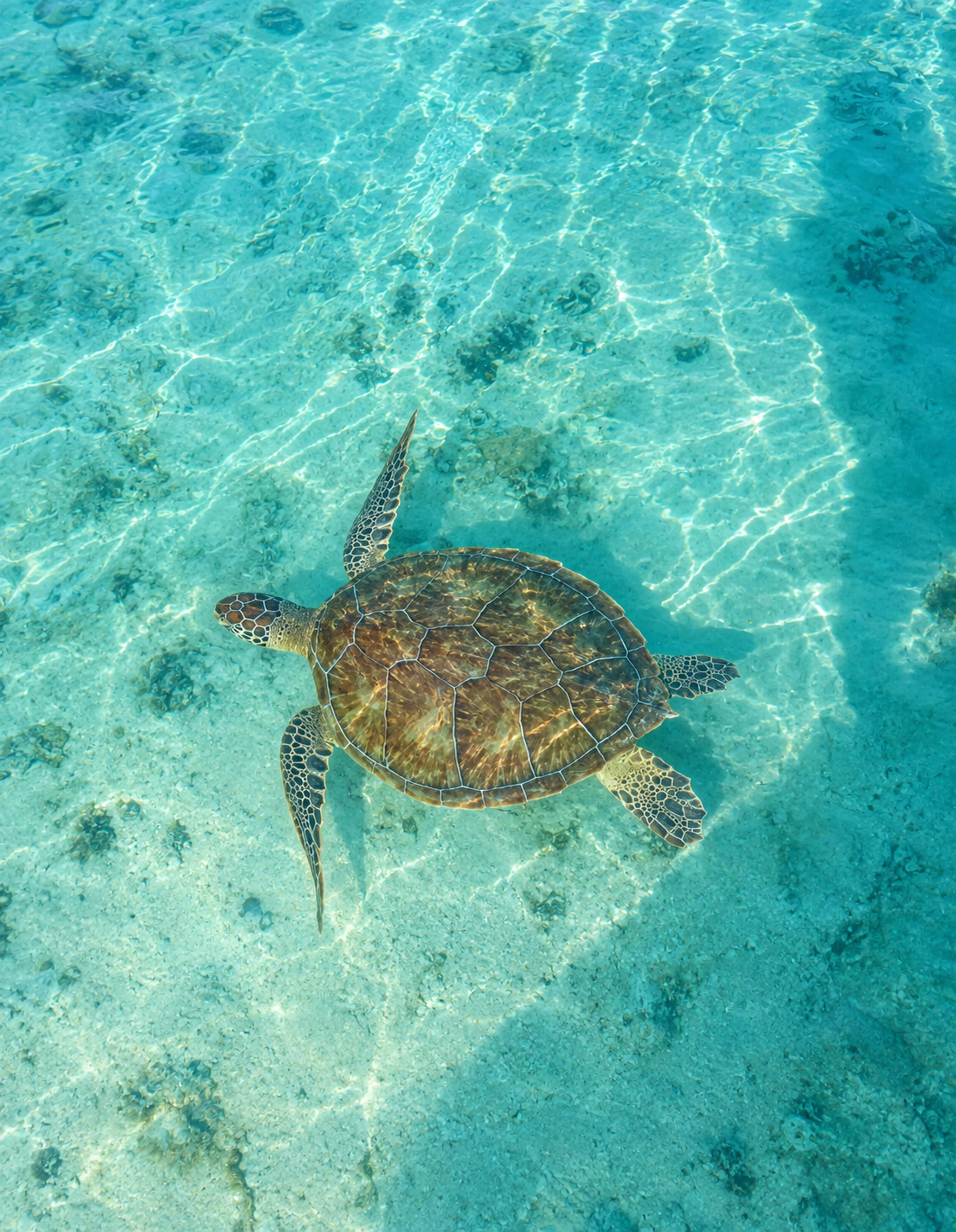 Turquoise waters in Treasure Cay